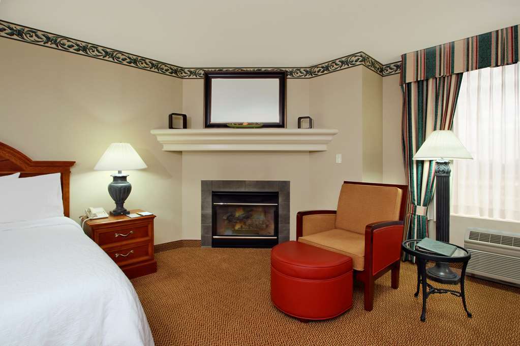 Hilton Garden Inn Saint Charles Bilik gambar